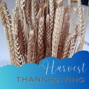 Harvest Thanksgiving